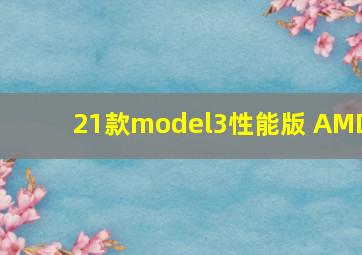 21款model3性能版 AMD